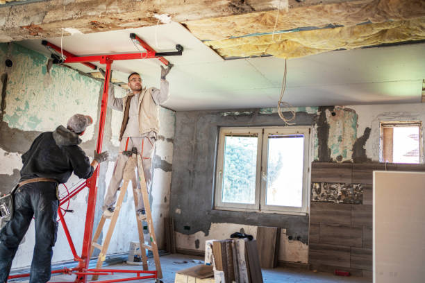 Best Cellulose Insulation in Fife, WA