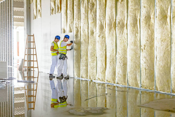 Best Geographic-Specific Insulation Services in Fife, WA